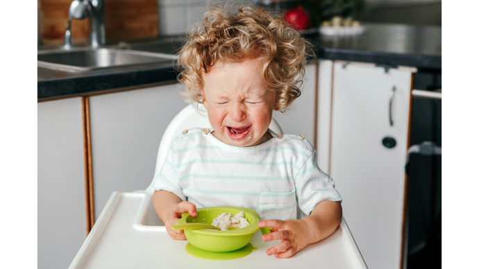 Is Your Toddler Not Eating? Here’s Why and What You Can Do
