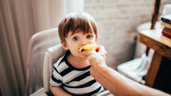 Nutrition Tips for Creating a Balanced Toddler Meal Plan