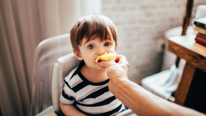Nutritious Meal Plans for Feeding Your Toddler: A Comprehensive Guide