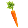 Carrot image