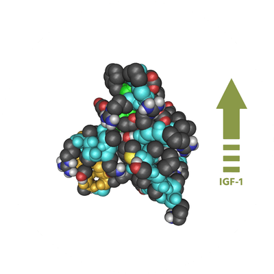 Zinc supplementation has been shown to stimulate linear growth in zinc-deficient children and lead to height growth.