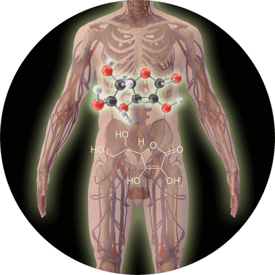 Vitamin C keeps the immune system strong and prevents infections associated with poor bone growth.