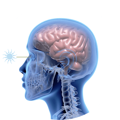 Artificial light at night can lower melatonin and disrupt sleep, affecting hormone release needed for growth. Good sleep supports optimal growth.